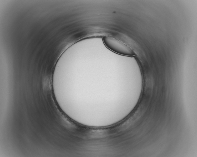 X0000112501377200909141215