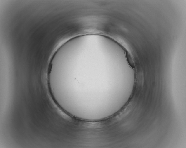 X0000112501381200909141215