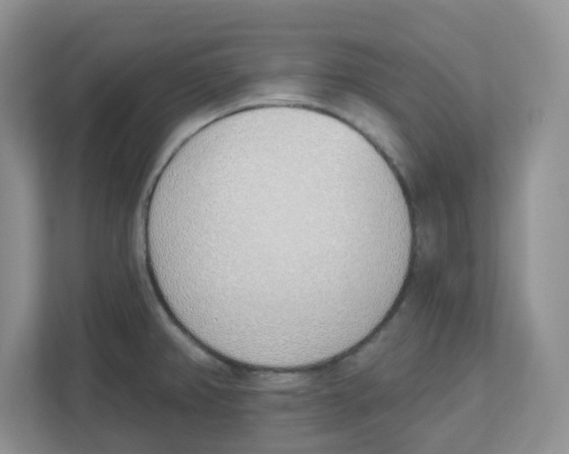 X0000112501382200909141215