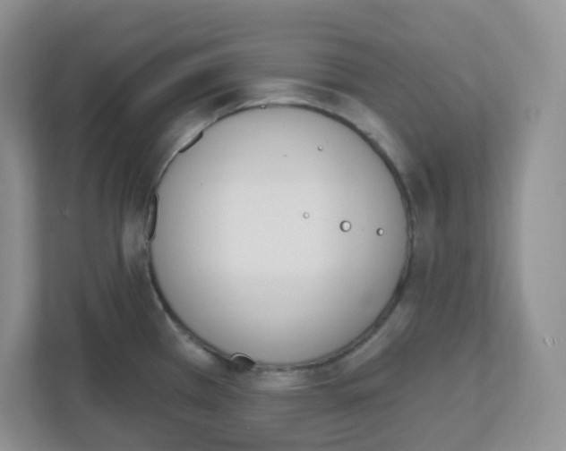 X0000112501385200909141215