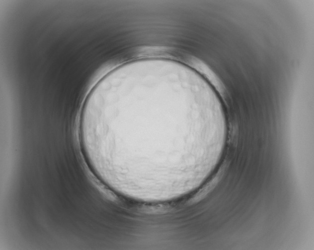 X0000112501386200909141215