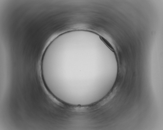 X0000112501389200909141215