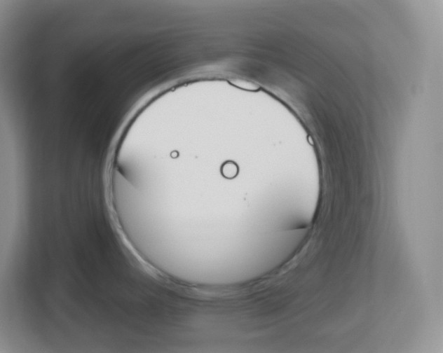 X0000112501392200909141215