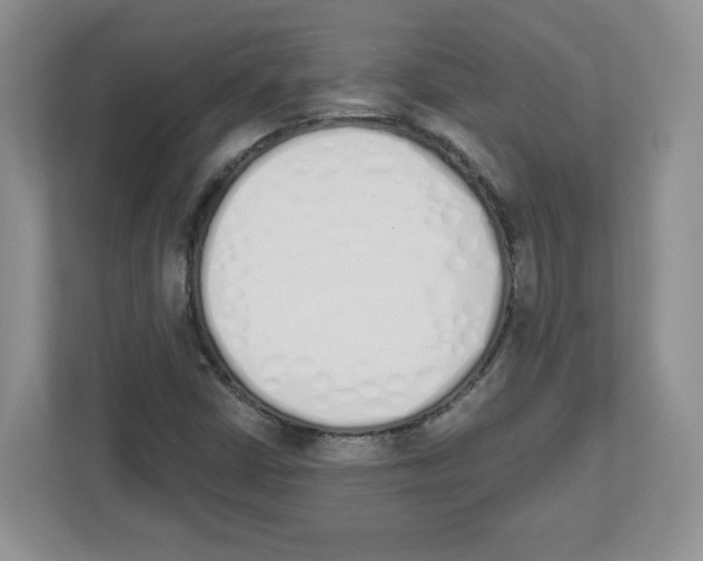 X0000112501402200909141215