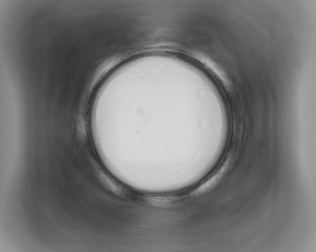 X0000112501405200909141215