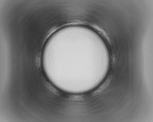 X0000112501409200909141215