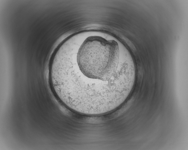 X0000112501418200909141215