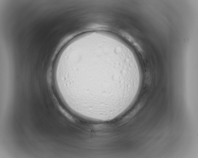 X0000112501421200909141215