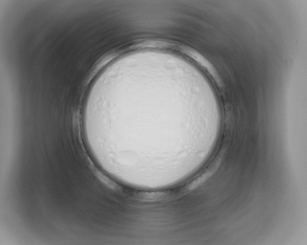 X0000112501425200909141215