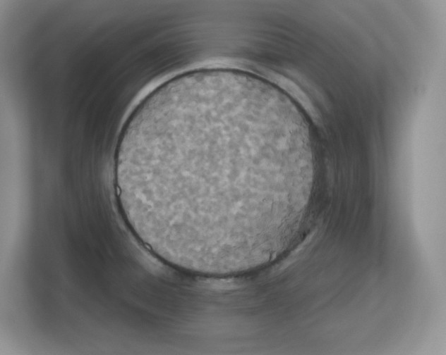 X0000112501428200909141215