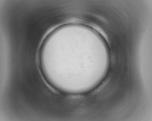 X0000112501429200909141215