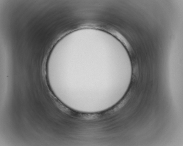 X0000112501435200909141215