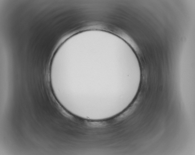 X0000112501436200909141215