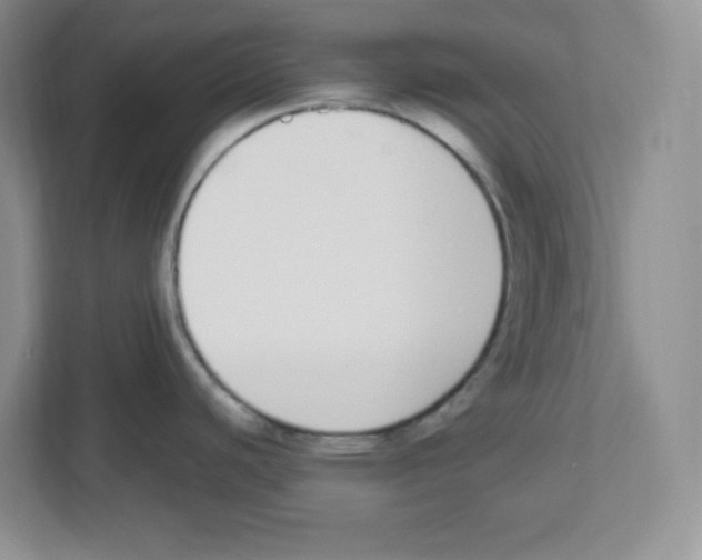 X0000112501440200909141215