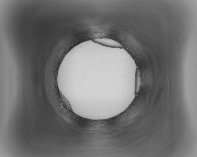 X0000112501441200909141215