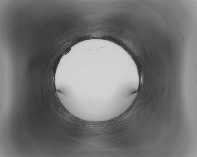 X0000112501444200909141214