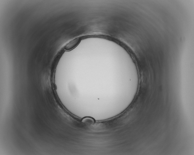 X0000112501452200909141214