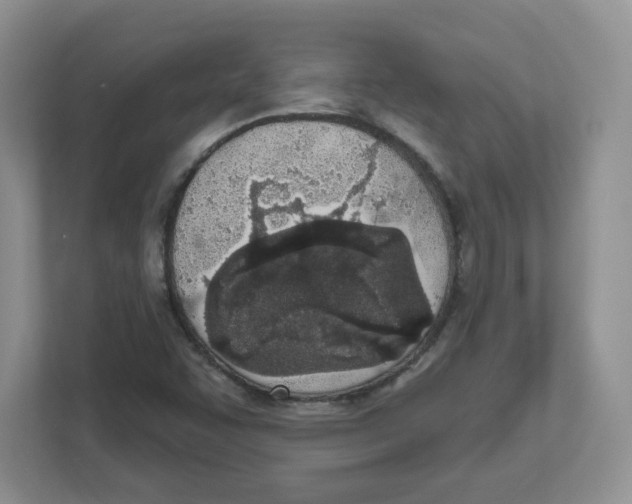 X0000112501455200909141214