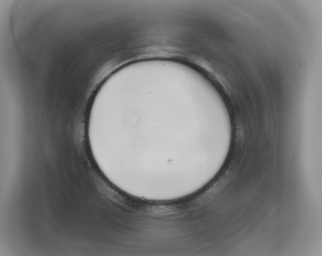 X0000112501459200909141214