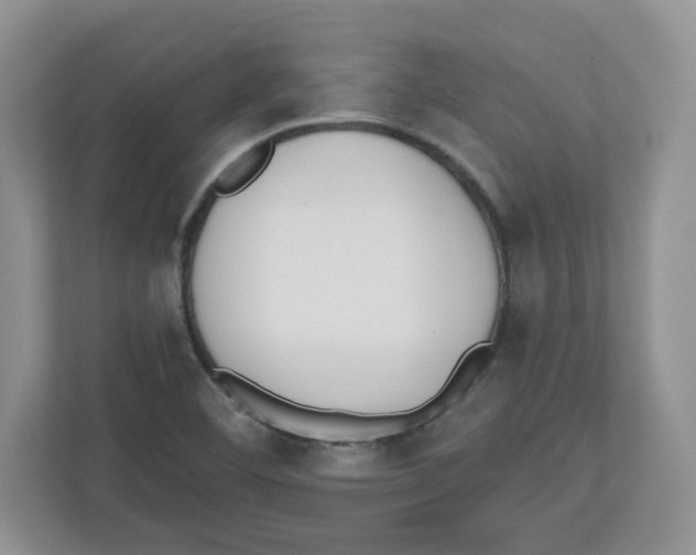 X0000112501460200909141214