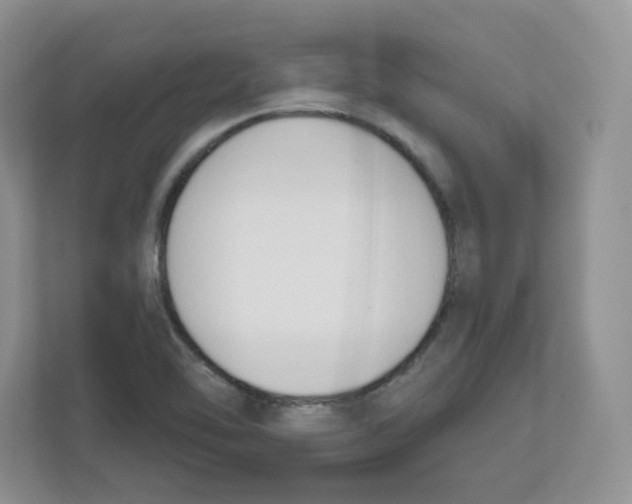 X0000112501462200909141214