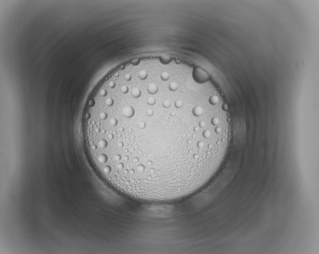 X0000112501466200909141214