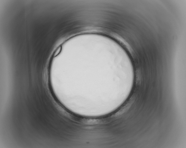 X0000112501467200909141214