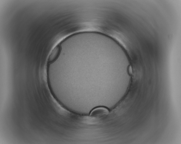 X0000112501468200909141214