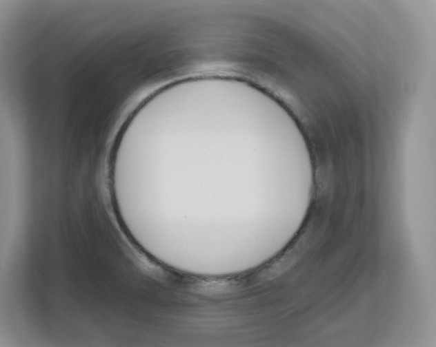 X0000112501470200909141214