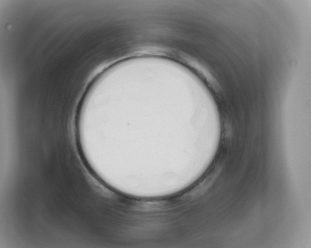 X0000112501471200909141214