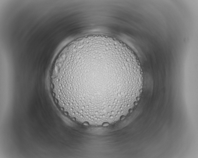 X0000112501474200909141214