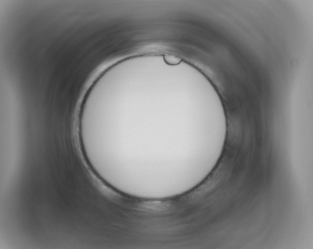 X0000112501478200909141214