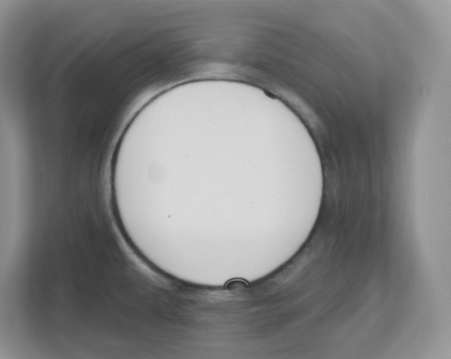 X0000112501479200909141214