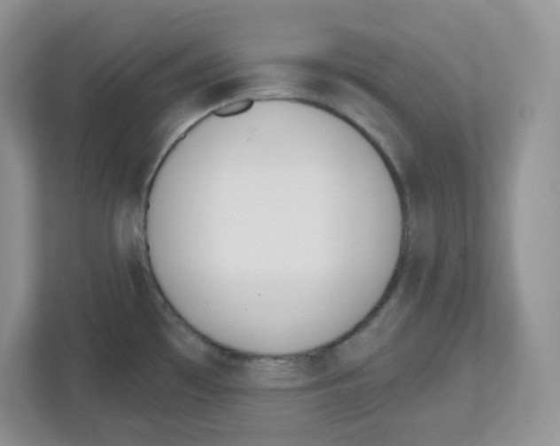 X0000112501481200909141214