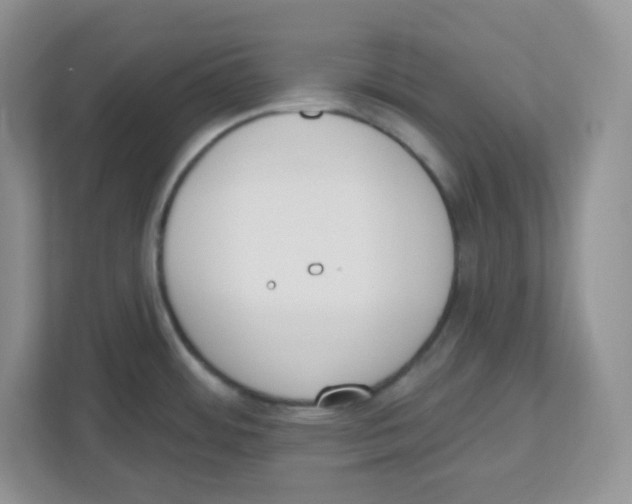 X0000112501484200909141214