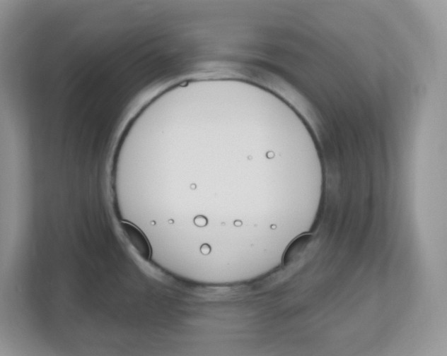 X0000112501485200909141214