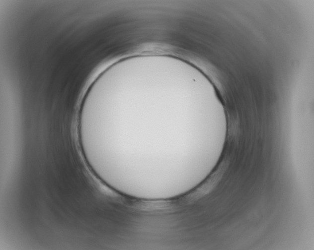 X0000112501486200909141214