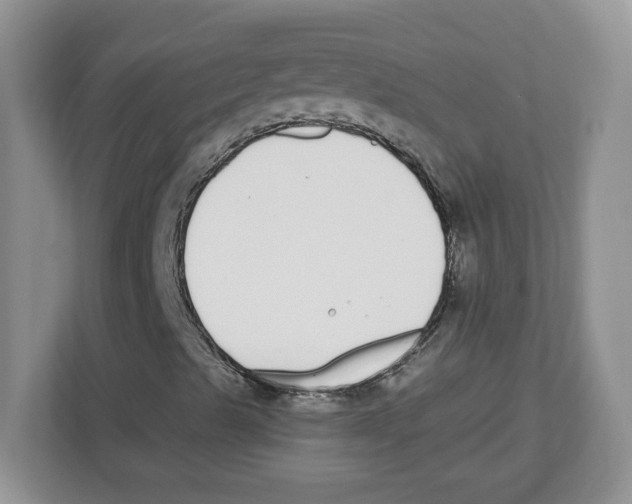 X0000112501489200909141213