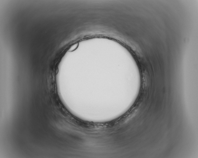 X0000112501494200909141213