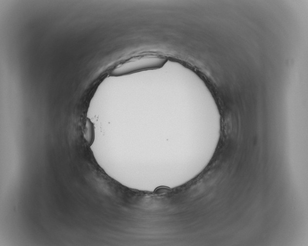 X0000112501496200909141213