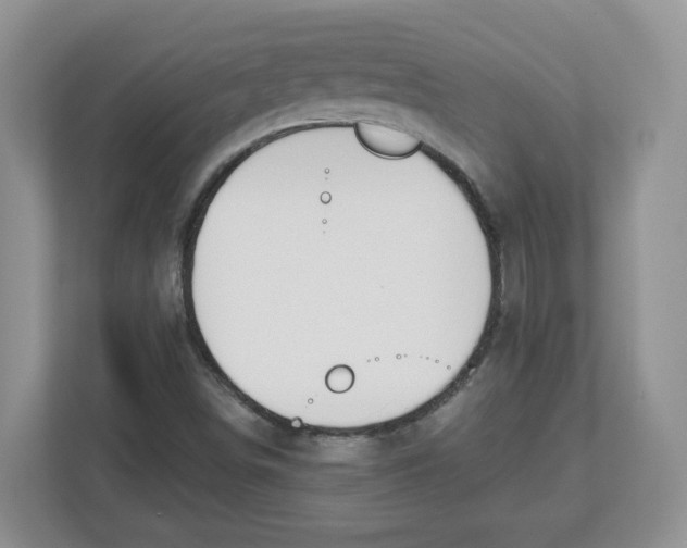 X0000112501498200909141213