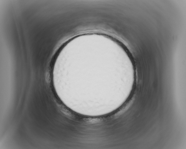 X0000112501501200909141213