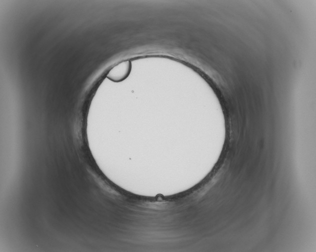 X0000112501502200909141213