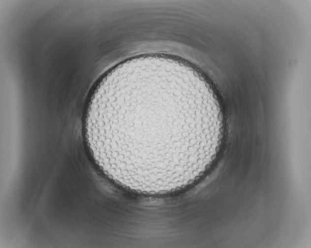 X0000112501505200909141214