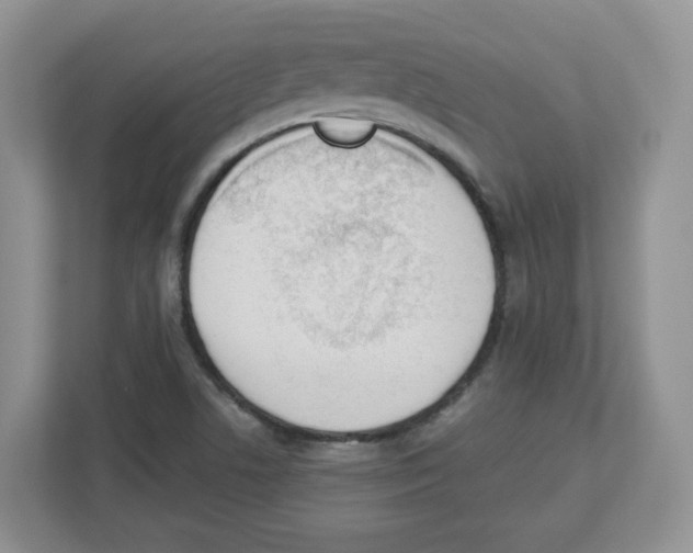 X0000112501506200909141214