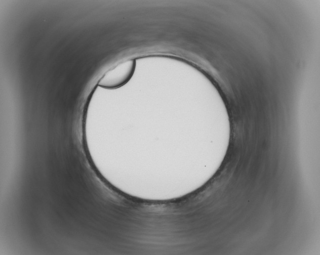 X0000112501512200909141214