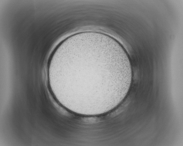 X0000112501515200909141214