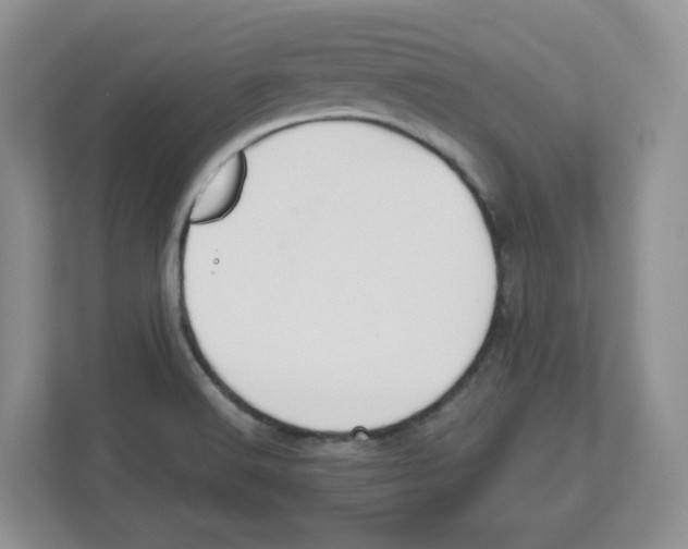 X0000112501516200909141214