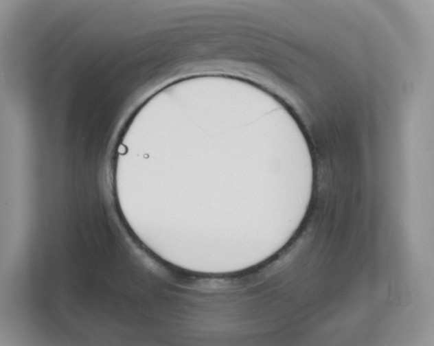 X0000112501517200909141214