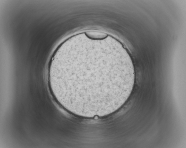 X0000112501519200909141214